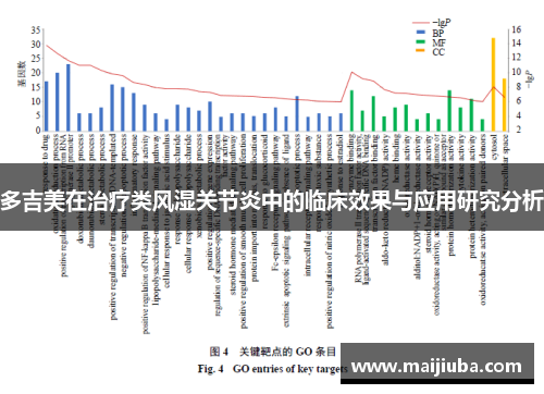 多吉美在治疗类风湿关节炎中的临床效果与应用研究分析