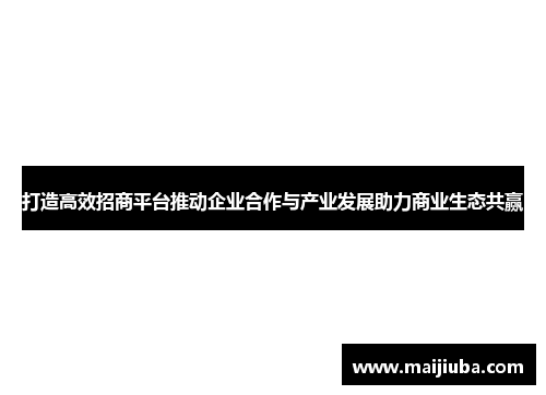 打造高效招商平台推动企业合作与产业发展助力商业生态共赢
