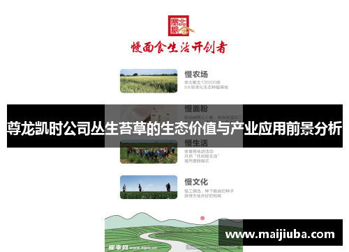 尊龙凯时公司丛生苔草的生态价值与产业应用前景分析